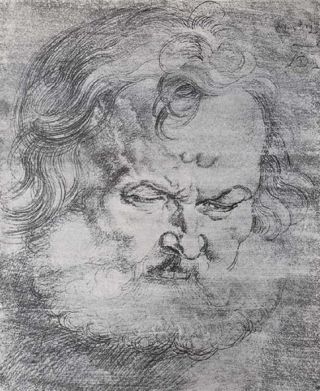Albrecht Durer Head of St.Peter oil painting picture